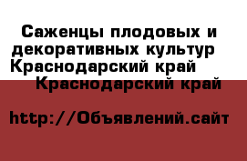 Саженцы плодовых и декоративных культур - Краснодарский край  »    . Краснодарский край